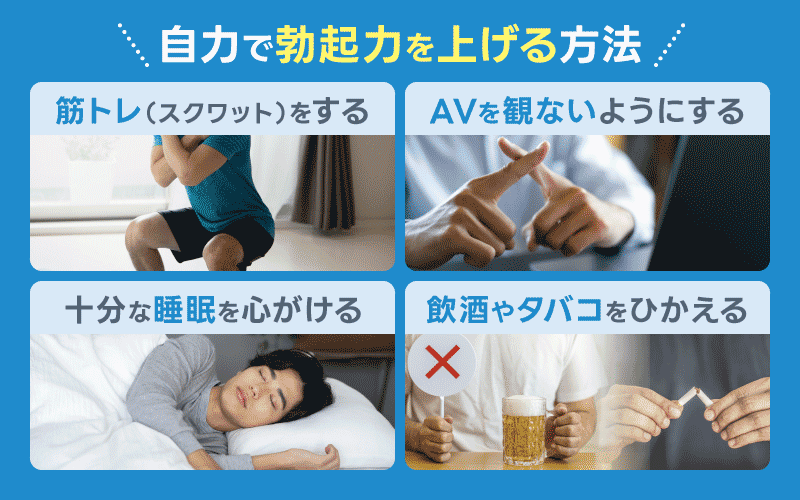 精力剤 勃起力 自力