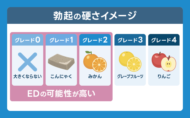 勃起 陰茎の硬さ グレード