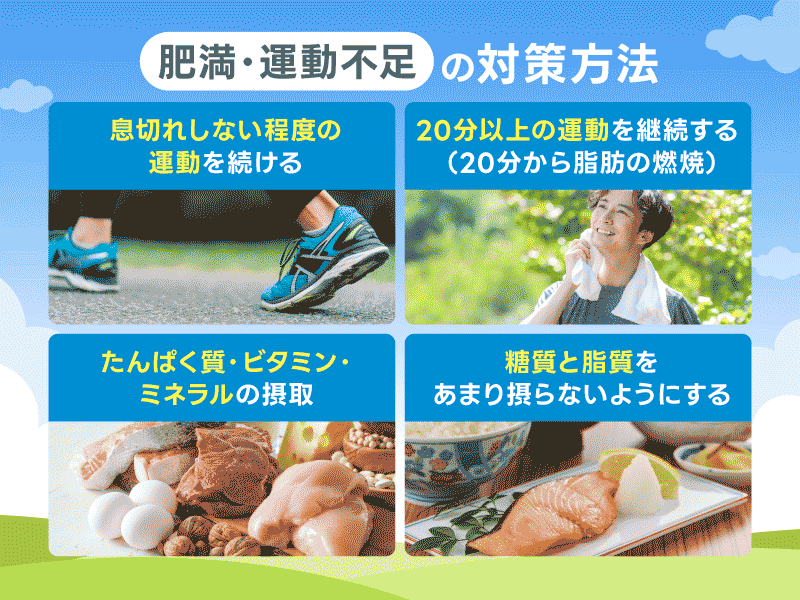EDの原因 肥満 運動不足 対策方法