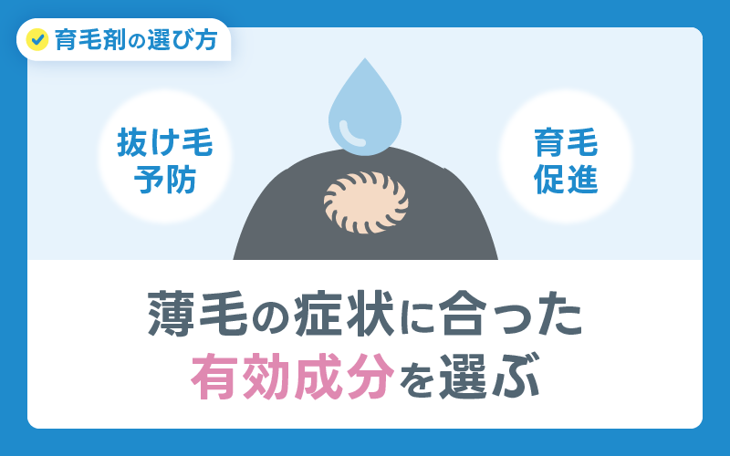 薄毛 症状 有効成分