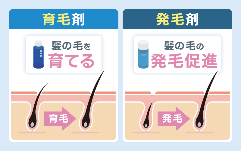 育毛剤 発毛作用 髪を増やす