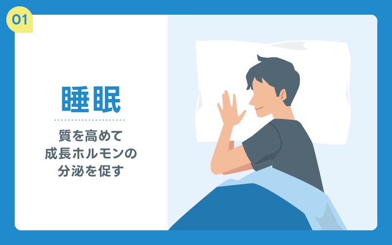 睡眠 成長ホルモン