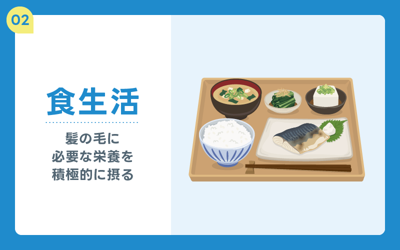 食生活 栄養