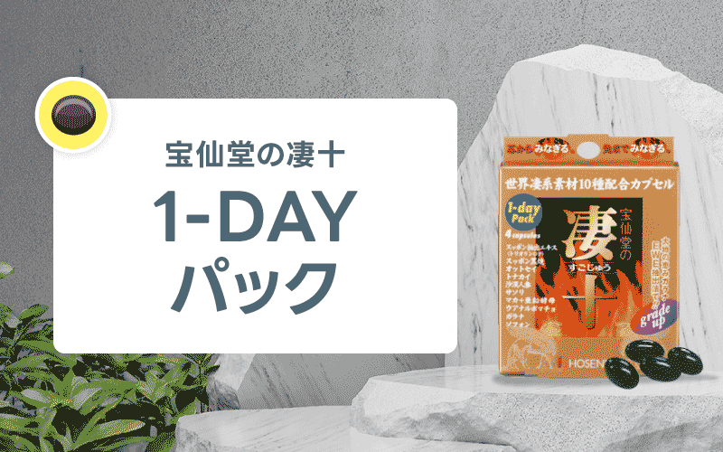 凄十 1-DAYパック