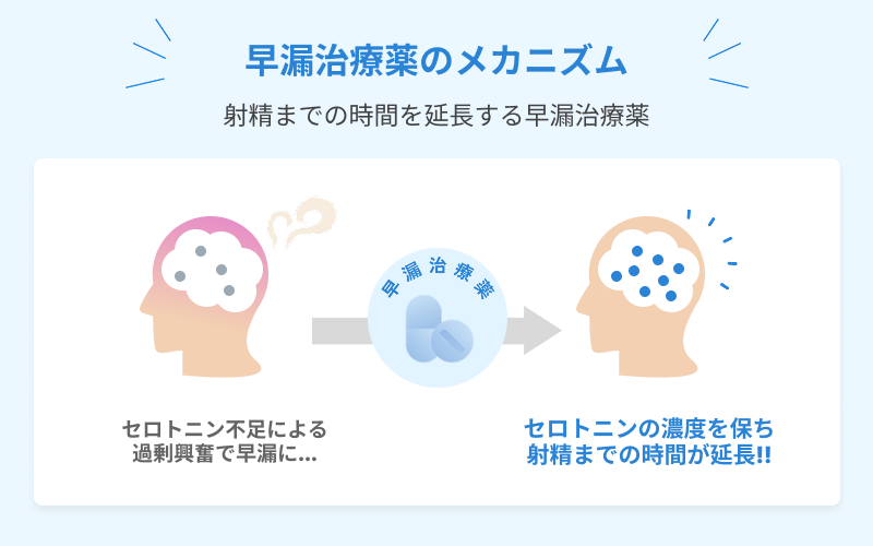 早漏治療薬 メカニズム