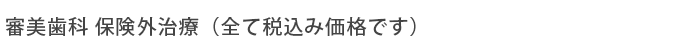 審美歯科 保険外治療（全て税込み価格です）